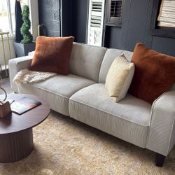 Modern Gray Sofa