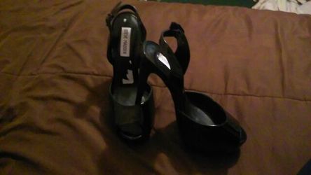 Brand new steve maddens