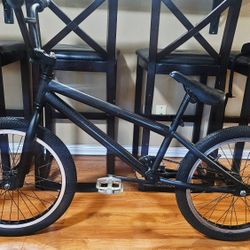 20" Custom Cruiser BMX