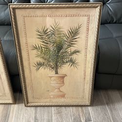 Two Palm Tree Picture Frames