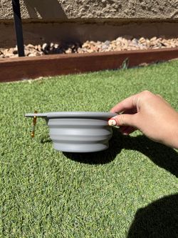 Collapsable Water/Food Bowl for Pets (92026 Near Police & Fire HQ)