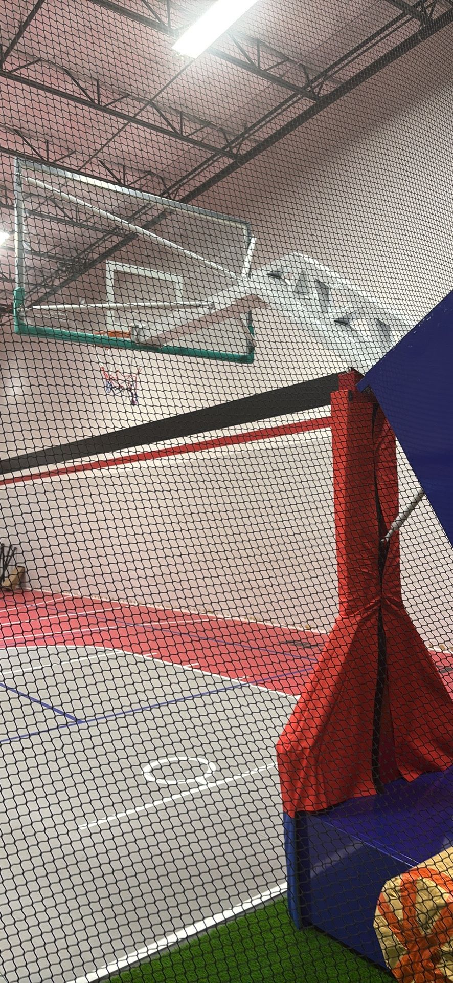 Pro Portable Basketball Hoop