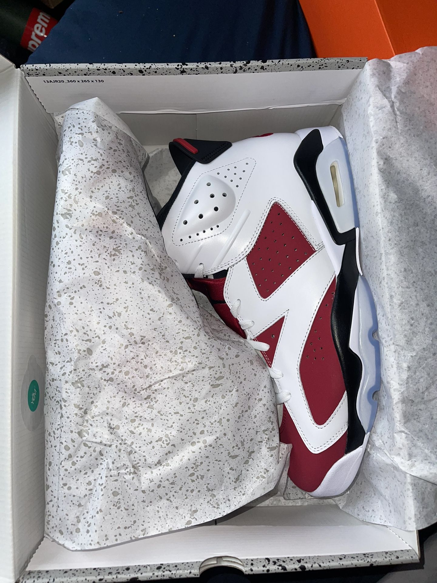 Carmine 6 Retro Jordan Size 14