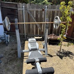 Bench With barbell And Weights 