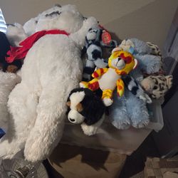 Plush stuffed animals !