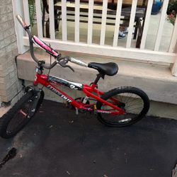 20 Inch Bike