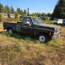 1973 Chevrolet Deluxe 10 Long Bed Pickup Truck