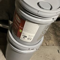 Creamy Butter Interior Paint 