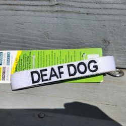 Dog Leash For Training 