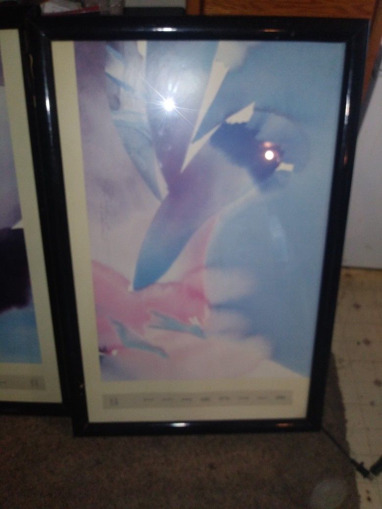 Peter kitchell Print Signed. 3 Large Prints