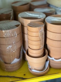 Brand New Terracottas w Trays And More!