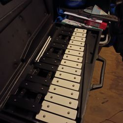 Small Xylophone With Soft Case