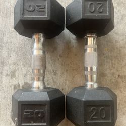 20 Pound Dumbbells 