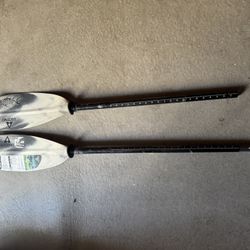 Fishing Kayak Paddle 