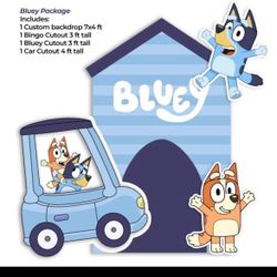 Bluey and bingo
