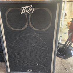 1820 Peavey Bass