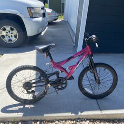 Pink 20” Bike