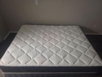 Queen Plush Mattress