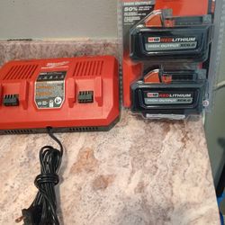 Batteries and Rapidcharger Charger New Firm Price 