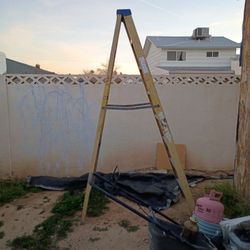 10 Ft Fiberglass Ladder 