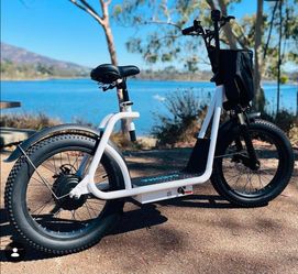 Caroma Electric Scooter