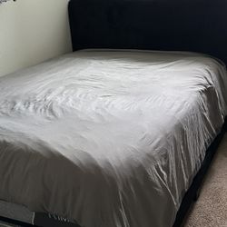 Queen Bed