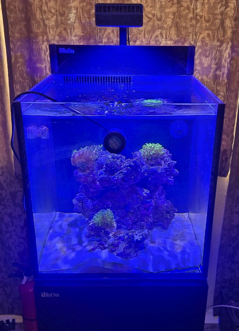 Red Sea Nano Max G2 Peninsula Reef Tank