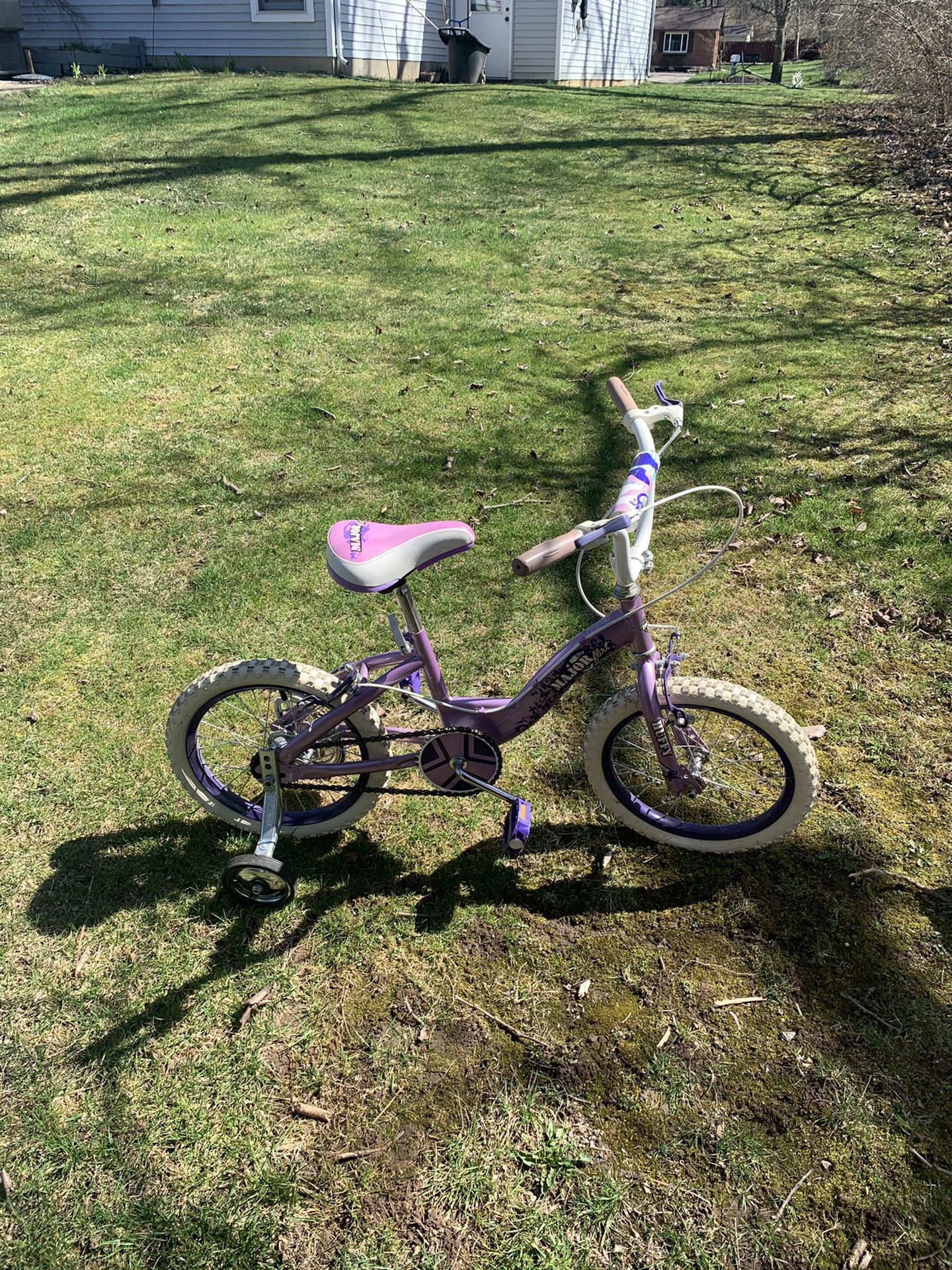 Girl Bike 16 inch wheels  Bike With Training Wheels,Adjustable Seat