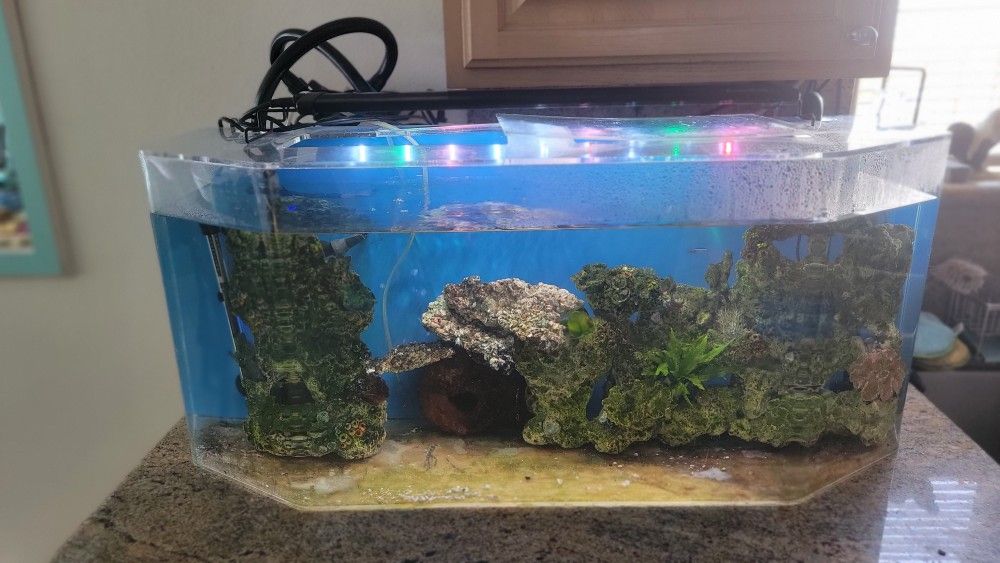 Aquarium For Sale 30 Gallon