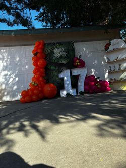 Birthday Party Decoration Setup with Balloon Garlands