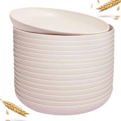 9 Inch Wheat Straw Plastic Plates (15 Count)