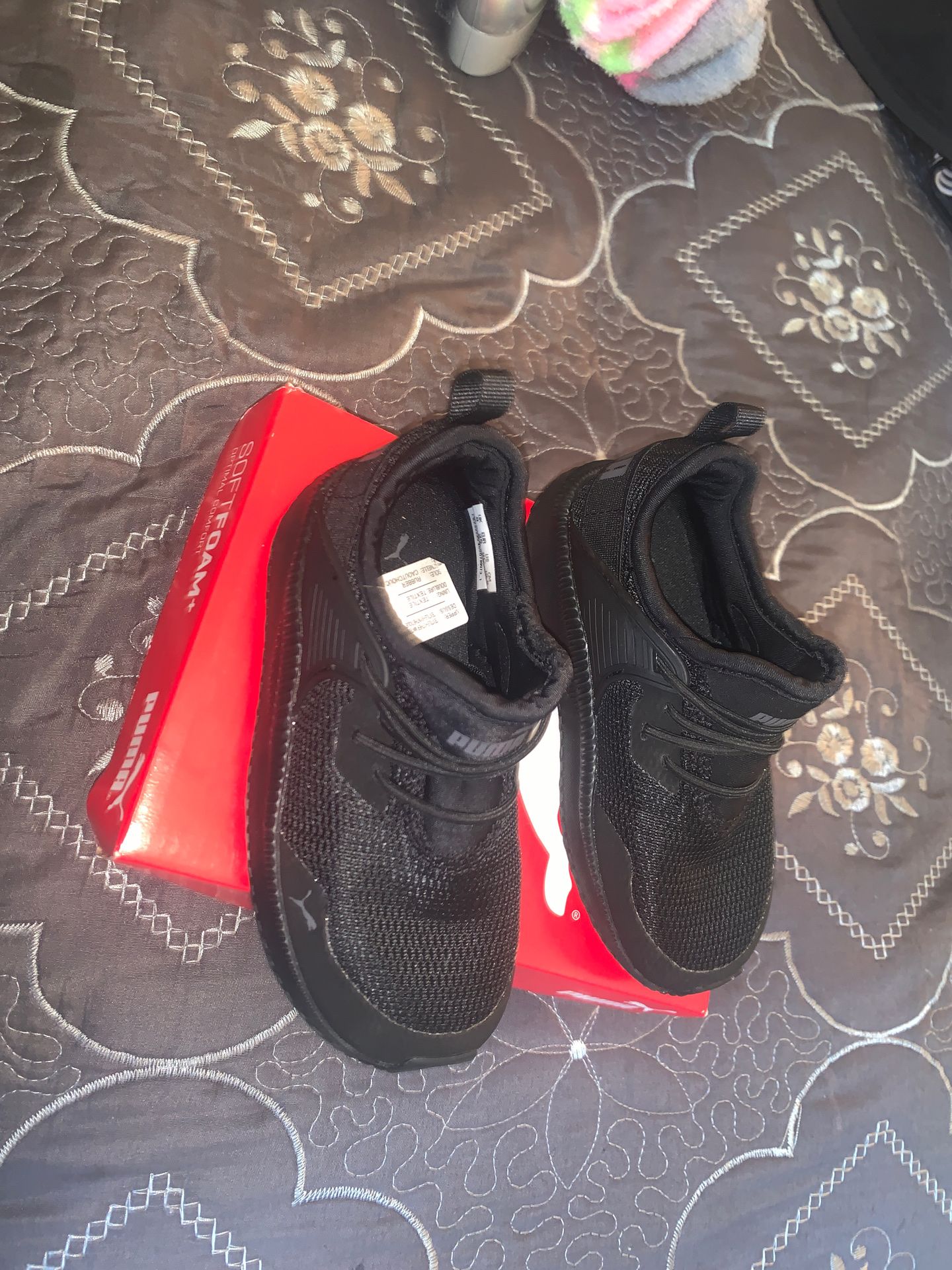 Toddler pumas