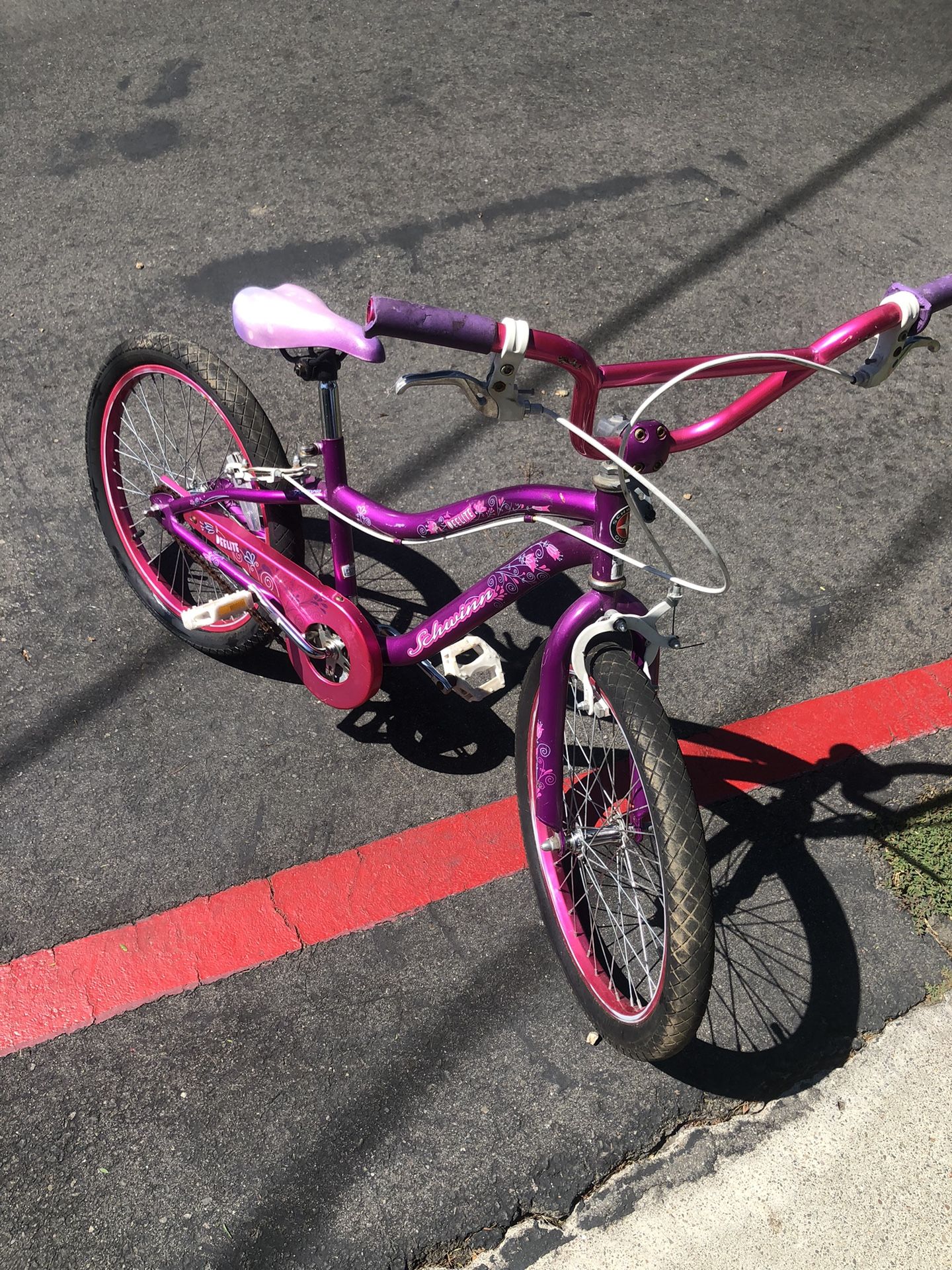 EElite Schwinn Bike