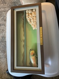 Trout Picture Frame New