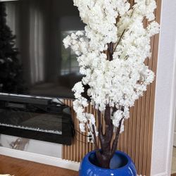 Vendo Planta Decorativa New 