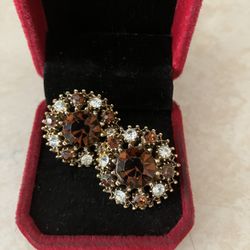 Vintage Stone Clip Earrings