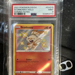 Scorebunny Bundle