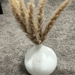 Vase With Pampas Grass 