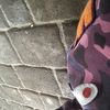 cash flash