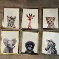 Framed Animal Portraits- Nursery 