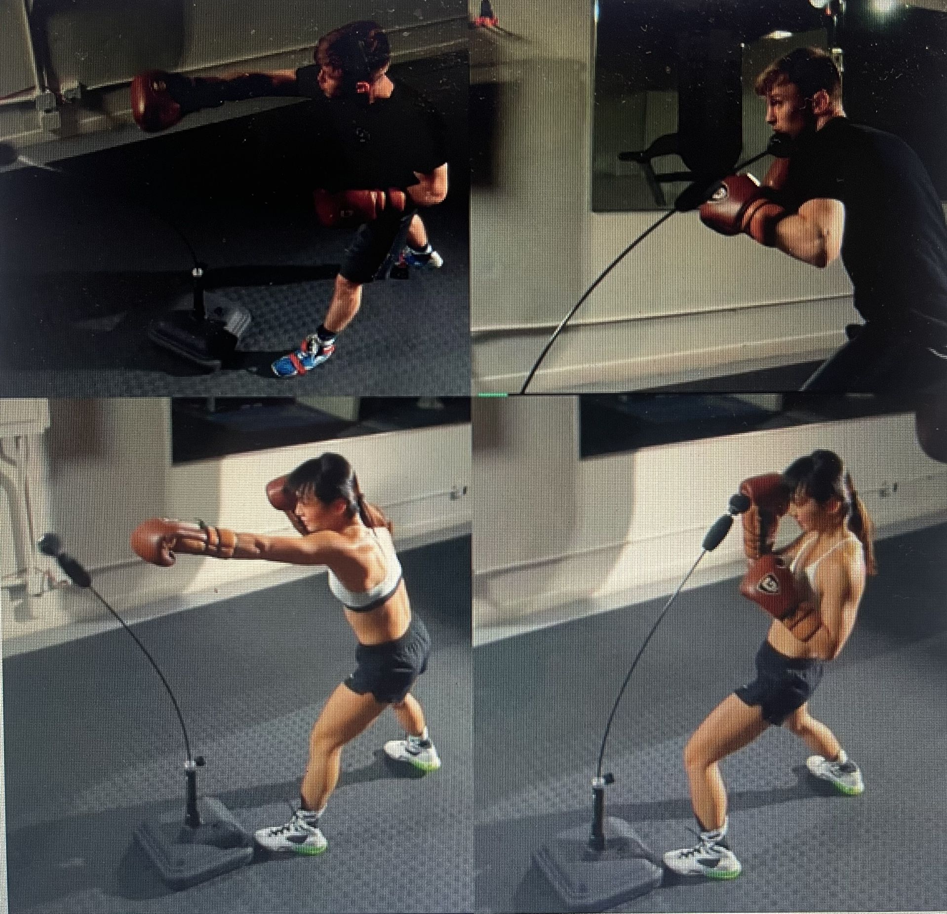Grodex Black Mamba Reflex Punching Bag - Professional Height Adjustable for Adults & Youth