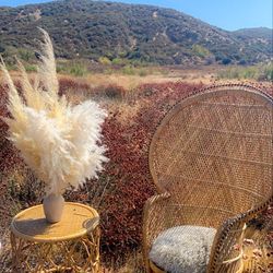 Wicker Chair Setup 