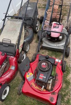 Mowers all 4. Grey was running yesterday starts