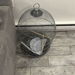 birdcage