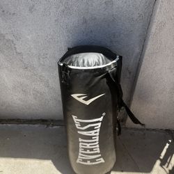 Everlast Boxing Bag