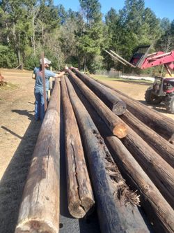 Utility Poles
