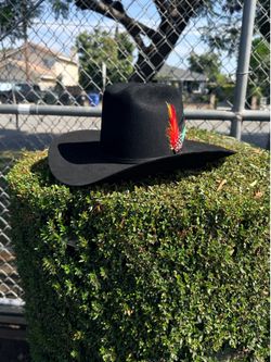 Texana Stetson 6X rancher