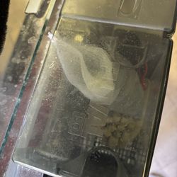 40 Gallon Tempered Glass Tank W/ Stand&Fliter  