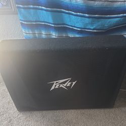 Peavey Party speakers
