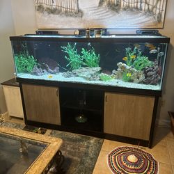 125 gal and stand